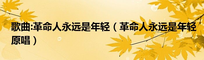 歌曲:革命人永远是年轻（革命人永远是年轻原唱）