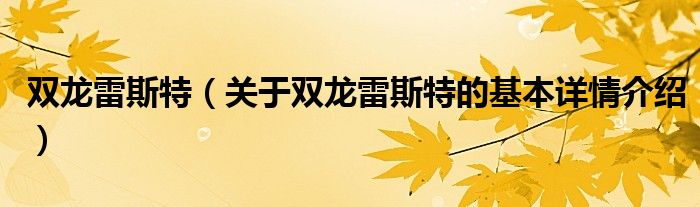双龙雷斯特（关于双龙雷斯特的基本详情介绍）