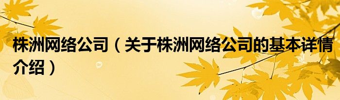 株洲网络公司（关于株洲网络公司的基本详情介绍）