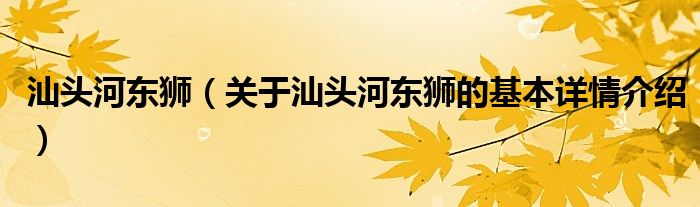 汕头河东狮（关于汕头河东狮的基本详情介绍）