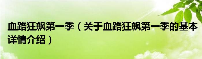 血路狂飙第一季（关于血路狂飙第一季的基本详情介绍）