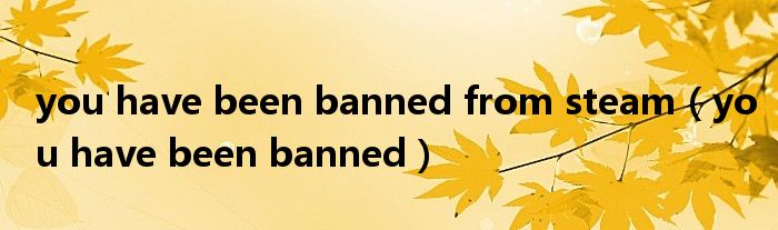 you have been banned from steam（you have been banned）
