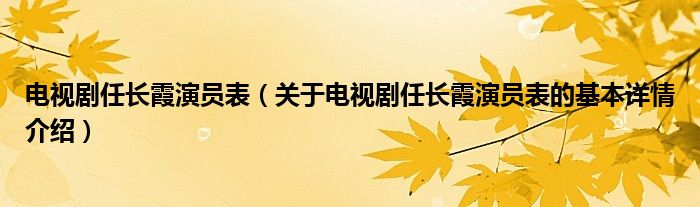 电视剧任长霞演员表（关于电视剧任长霞演员表的基本详情介绍）