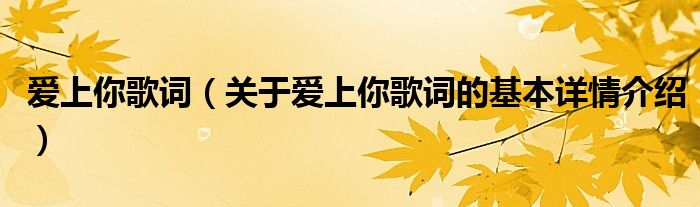 爱上你歌词（关于爱上你歌词的基本详情介绍）