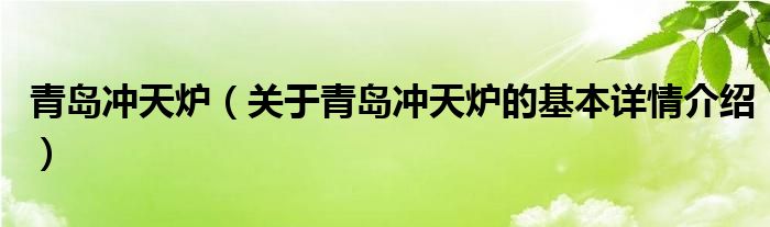 青岛冲天炉（关于青岛冲天炉的基本详情介绍）