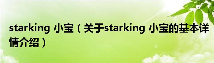 starking 小宝（关于starking 小宝的基本详情介绍）