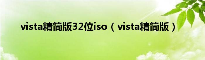 vista精简版32位iso（vista精简版）