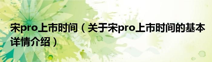 宋pro上市时间（关于宋pro上市时间的基本详情介绍）