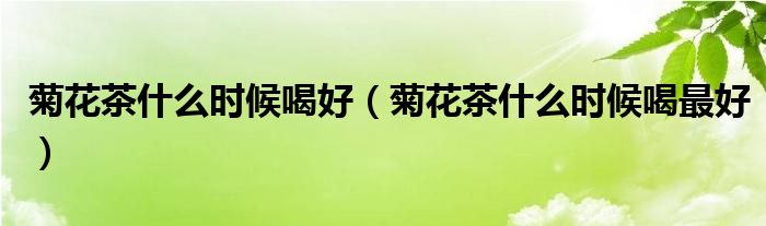 菊花茶什么时候喝好（菊花茶什么时候喝最好）