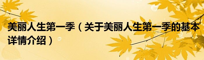 美丽人生第一季（关于美丽人生第一季的基本详情介绍）