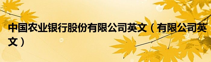 中国农业银行股份有限公司英文（有限公司英文）
