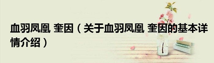 血羽凤凰 奎因（关于血羽凤凰 奎因的基本详情介绍）