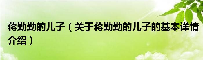 蒋勤勤的儿子（关于蒋勤勤的儿子的基本详情介绍）