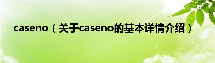 caseno（关于caseno的基本详情介绍）