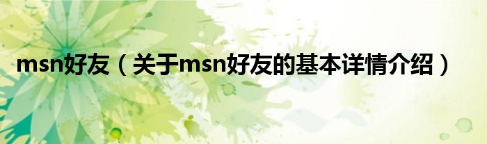 msn好友（关于msn好友的基本详情介绍）
