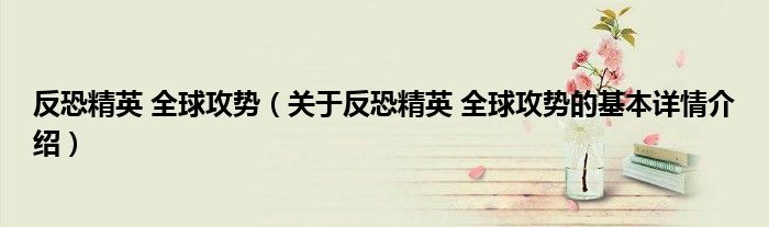 反恐精英 全球攻势（关于反恐精英 全球攻势的基本详情介绍）
