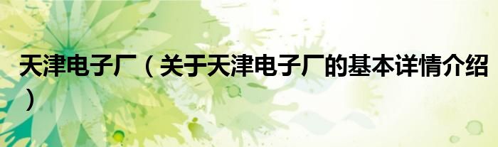 天津电子厂（关于天津电子厂的基本详情介绍）