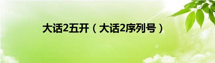 大话2五开（大话2序列号）