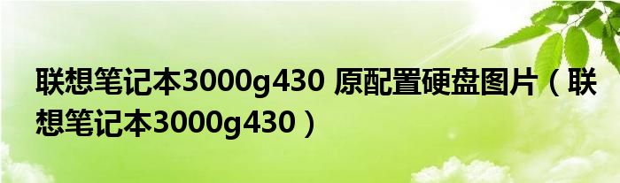 联想笔记本3000g430 原配置硬盘图片（联想笔记本3000g430）