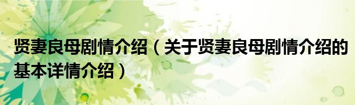 贤妻良母剧情介绍（关于贤妻良母剧情介绍的基本详情介绍）