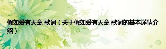 假如爱有天意 歌词（关于假如爱有天意 歌词的基本详情介绍）