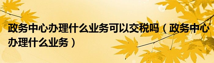 政务中心办理什么业务可以交税吗（政务中心办理什么业务）