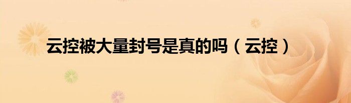 云控被大量封号是真的吗（云控）