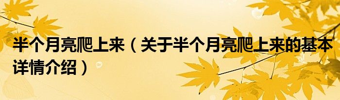 半个月亮爬上来（关于半个月亮爬上来的基本详情介绍）