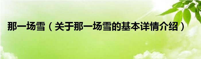 那一场雪（关于那一场雪的基本详情介绍）
