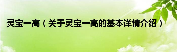 灵宝一高（关于灵宝一高的基本详情介绍）
