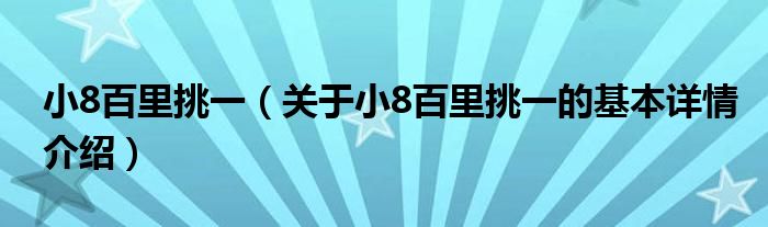 小8百里挑一（关于小8百里挑一的基本详情介绍）