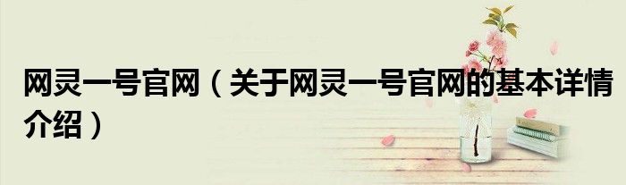 网灵一号官网（关于网灵一号官网的基本详情介绍）