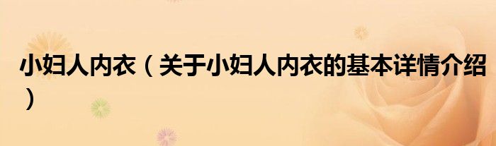 小妇人内衣（关于小妇人内衣的基本详情介绍）