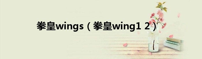 拳皇wings（拳皇wing1 2）