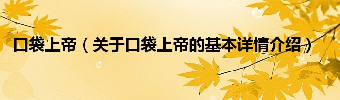 口袋上帝（关于口袋上帝的基本详情介绍）