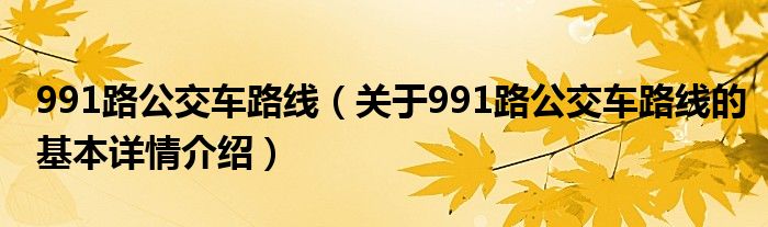 991路公交车路线（关于991路公交车路线的基本详情介绍）