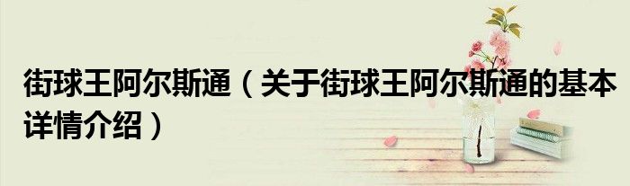 街球王阿尔斯通（关于街球王阿尔斯通的基本详情介绍）