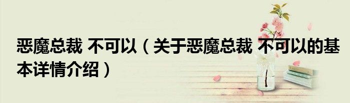 恶魔总裁 不可以（关于恶魔总裁 不可以的基本详情介绍）