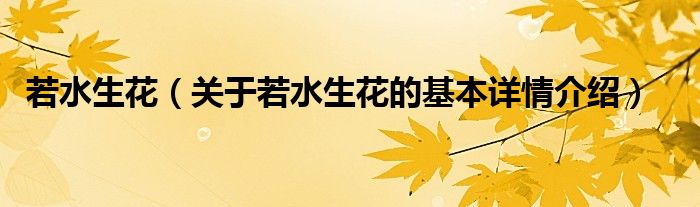 若水生花（关于若水生花的基本详情介绍）