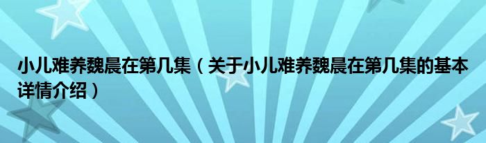 小儿难养魏晨在第几集（关于小儿难养魏晨在第几集的基本详情介绍）