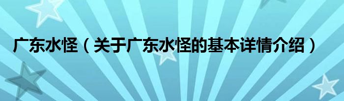 广东水怪（关于广东水怪的基本详情介绍）