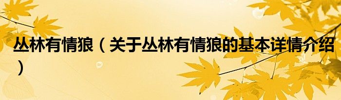 丛林有情狼（关于丛林有情狼的基本详情介绍）