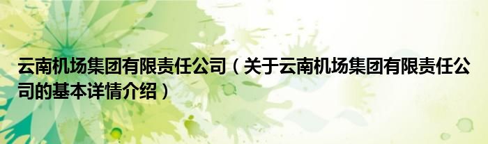 云南机场集团有限责任公司（关于云南机场集团有限责任公司的基本详情介绍）