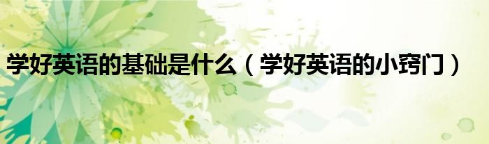 学好英语的基础是什么（学好英语的小窍门）