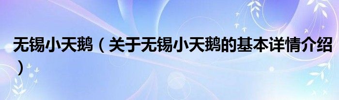 无锡小天鹅（关于无锡小天鹅的基本详情介绍）