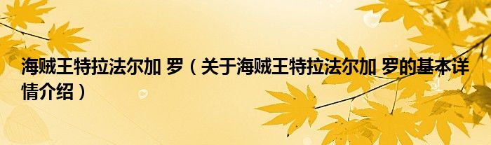海贼王特拉法尔加 罗（关于海贼王特拉法尔加 罗的基本详情介绍）