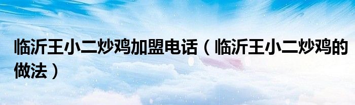 临沂王小二炒鸡加盟电话（临沂王小二炒鸡的做法）