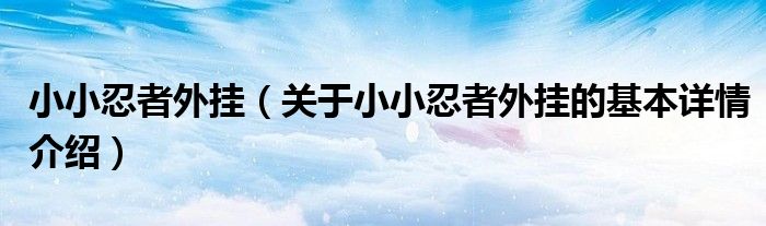 小小忍者外挂（关于小小忍者外挂的基本详情介绍）