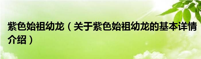 紫色始祖幼龙（关于紫色始祖幼龙的基本详情介绍）