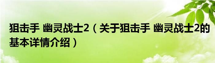狙击手 幽灵战士2（关于狙击手 幽灵战士2的基本详情介绍）